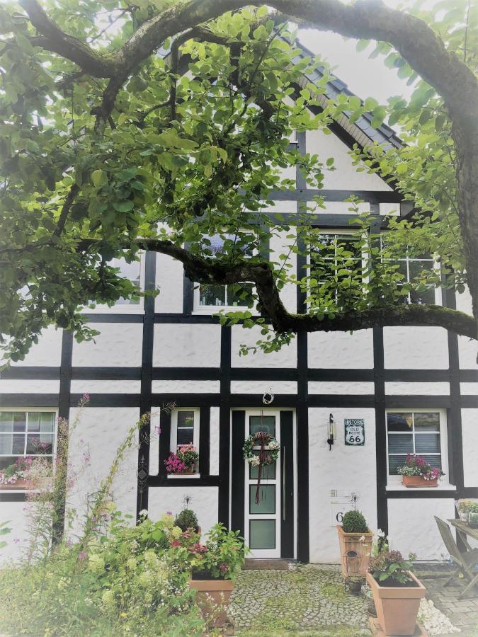 Apartament Feriendomizil Burg Overath Zewnętrze zdjęcie